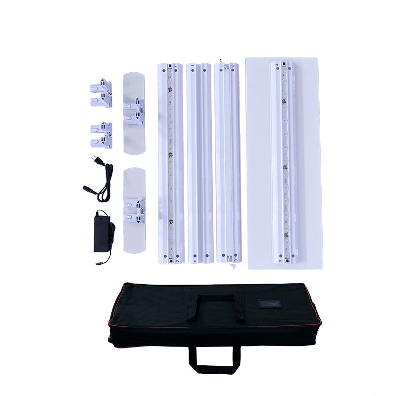 Illuminated SEG Display Counter designed for welcoming visitors and creating a bright branded interaction point